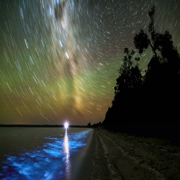 La bioluminiscencia - Lagos Gippsland, Australia