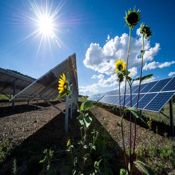 Paneles Solares - Colorado, Estados Unidos